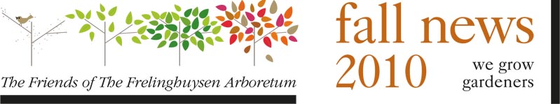 FOFA Newsletter Logo