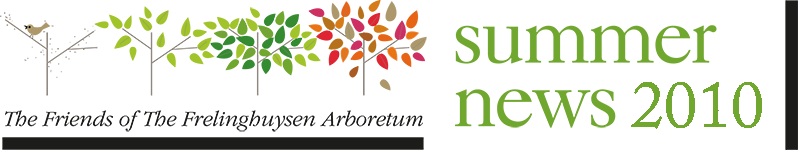 FOFA Newsletter Logo