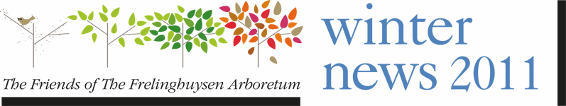 FOFA Newsletter Logo