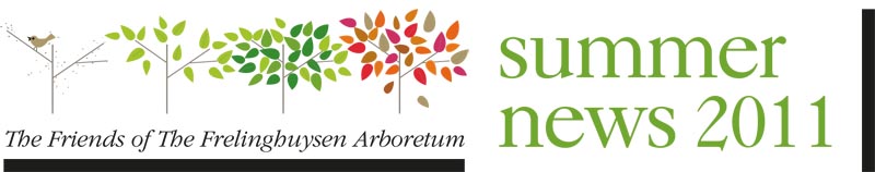 FOFA Newsletter Logo