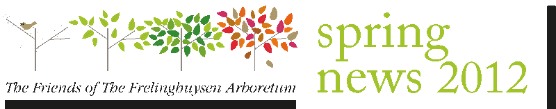 FOFA Newsletter Logo