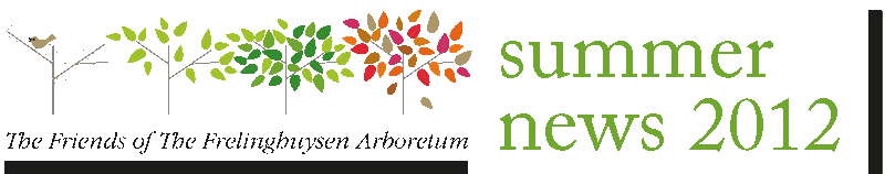 FOFA Newsletter Logo