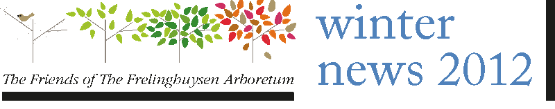 FOFA Newsletter Logo