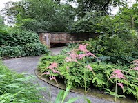 BENCH+ASTILBE-th