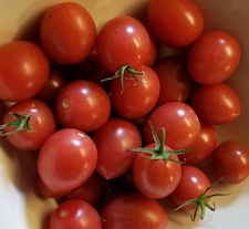 grape tomatoes