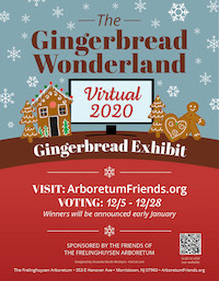 gingerbread flyer