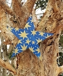 blue star