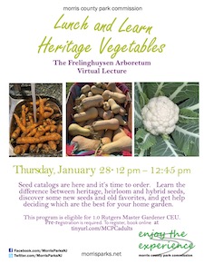 heritage vegetables