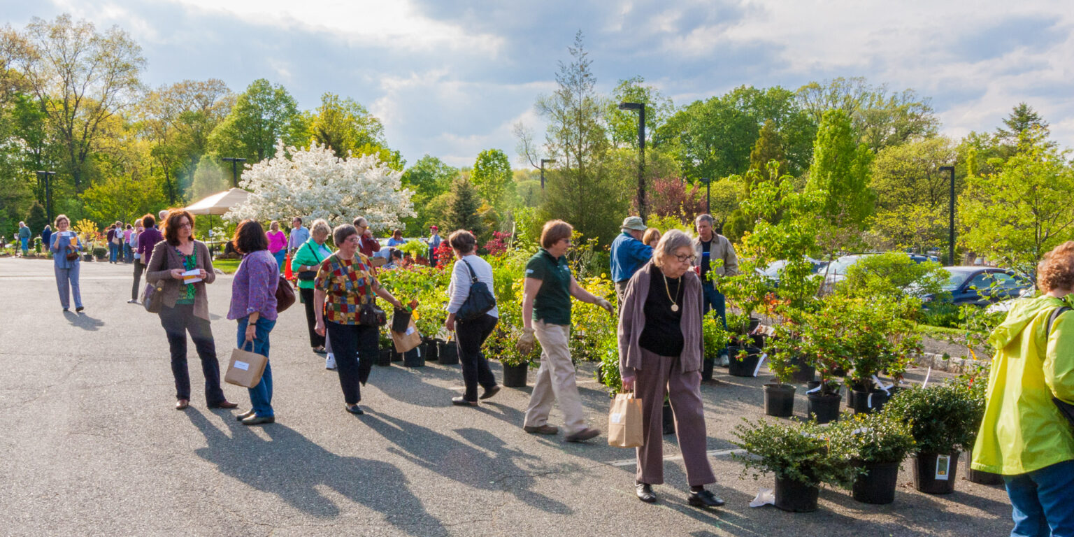 Plant Sale 2022 Friends of The Frelinghuysen Arboretum