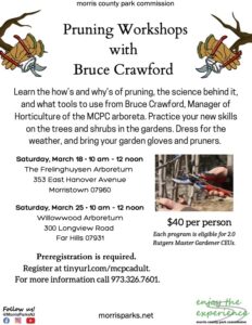 Pruning Workshops with Bruce