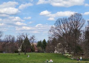 Visitors on Great Lawn