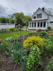 Matilda's Cottage