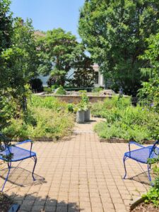 Blue Benches