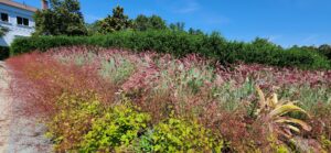 Haggerty Entry Garden