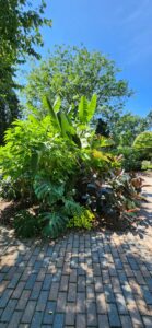 Tropical Circle Garden