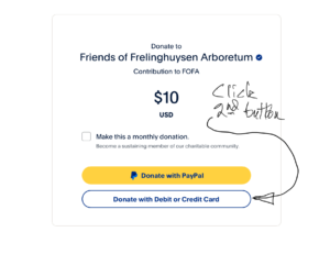 PayPal Donate 231021 Screenshot