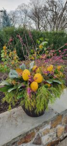 Quince Arrangement