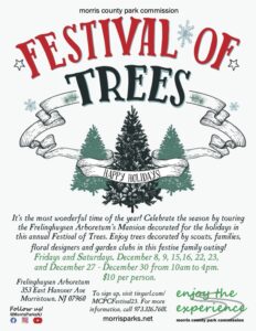 Festival of Trees Flyer