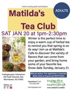 Matildas Tea Club