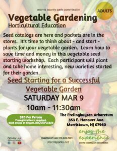 Vegetable Gardening - Seed Starting