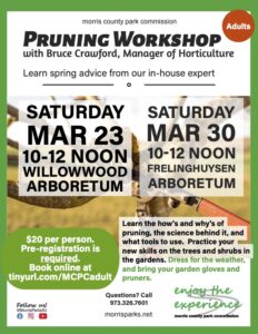 Pruning Workshop