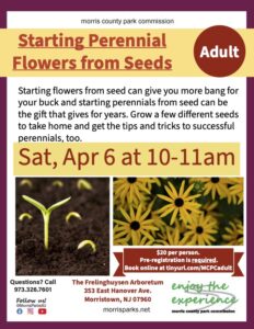 Starting Perennial Flowers From Seeds