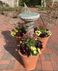 Rose Garden Planters - Judy Snow