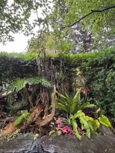 In the Nurserymens' Garden