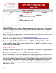 RMG IPM RPT 4 250613 Rutgers Master Gardener