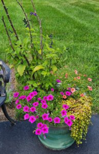 Planter