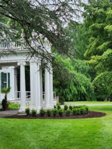 Boxwood at Mansion