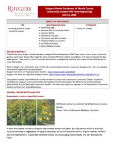 RMG IPM RPT 6 250711 Rutgers Master Gardener