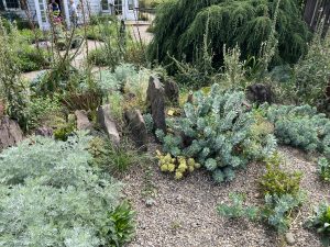 The Gravel Garden