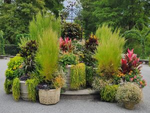 Annuals Arrangements