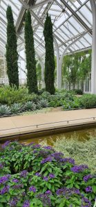 New West Conservatory