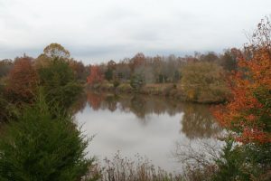 Great Swamp Wildlife Refuge