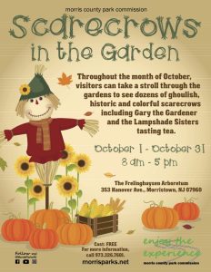 Scarecrows in the Garden 25