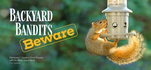 Squirrel Bandits Beware