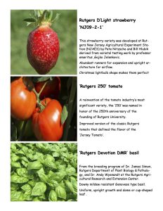 Rutgers Varieties for the Plant Sale