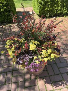 260506 DEBBY HOLZ PLANTER PHOTO