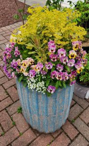 260506 PLANTER ARRANGEMENT