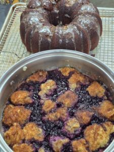 Mixed Berry Slump Spicy Gingerbread Cake
