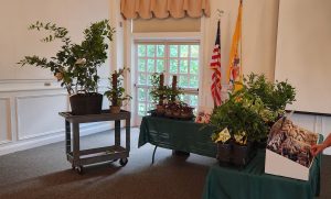 260712 Plant & Seed Sale Table ii