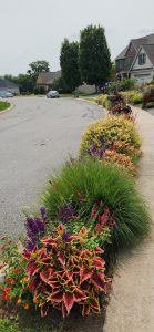 A Pennsylvania Garden, by Margery Ennist