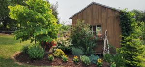 A Pennsylvania Garden, by Margery Ennist