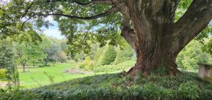 Chanticleer Hillside