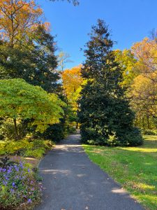 Path by the Mansion