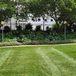 At the Frelinghuysen Arboretum