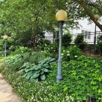 At the Frelinghuysen Arboretum