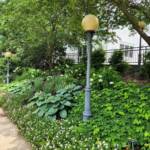 At the Frelinghuysen Arboretum